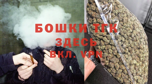 шишки Болхов