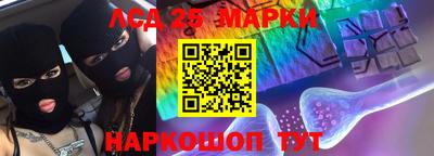 гидропоника Дубна
