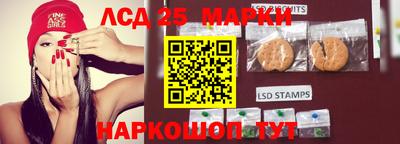 гидропоника Дубна