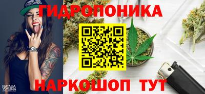 крисы Донецк
