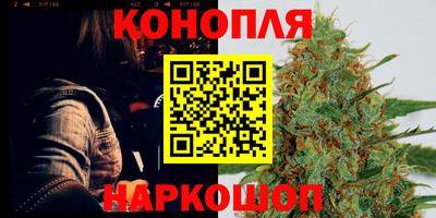 спиды Донской