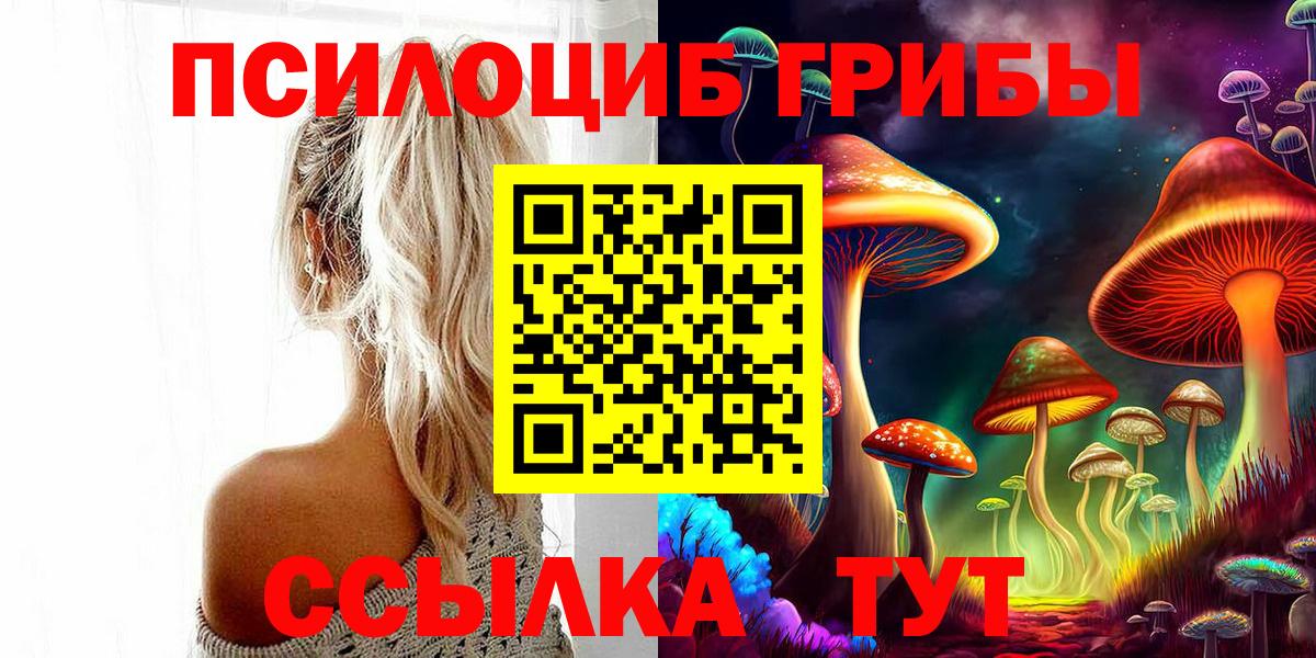 Псилоцибиновые грибы Psilocybine cubensis Москва