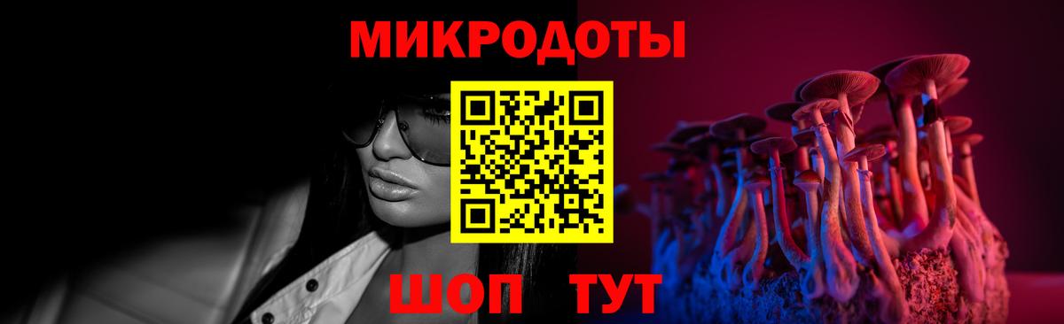 Москва  Псилоцибиновые грибы Psilocybe  Вход с VPN  Галлюциногенные грибы мицелий 